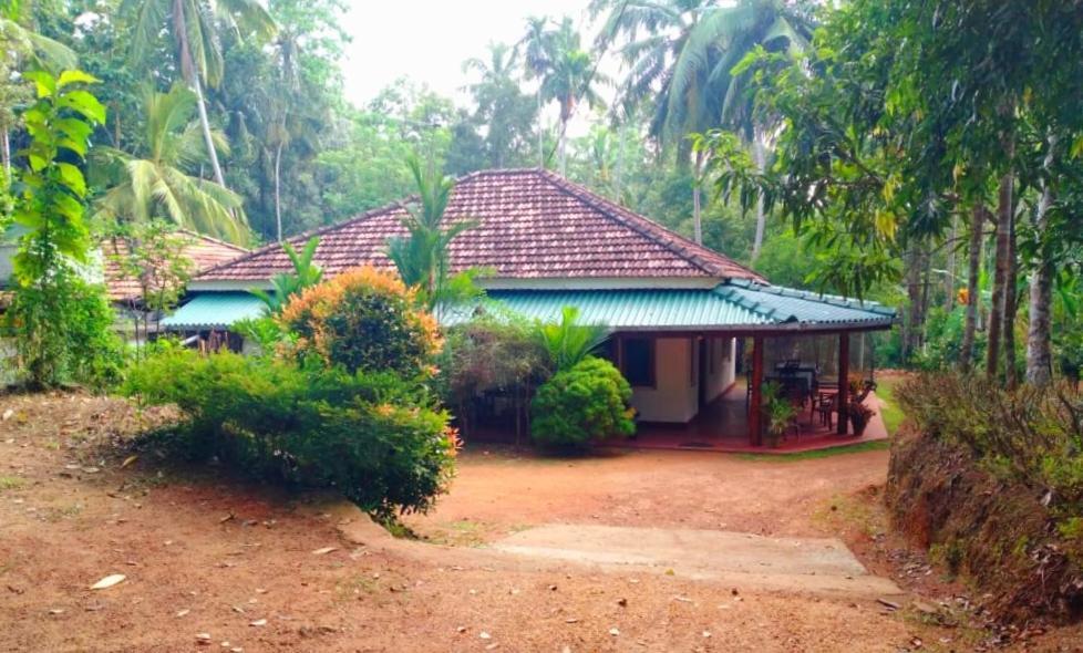Hiriketiya Green Hill Home Диквела Екстериор снимка